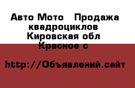 Авто Мото - Продажа квадроциклов. Кировская обл.,Красное с.